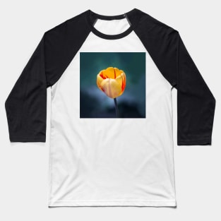 Colorful Tulip Baseball T-Shirt